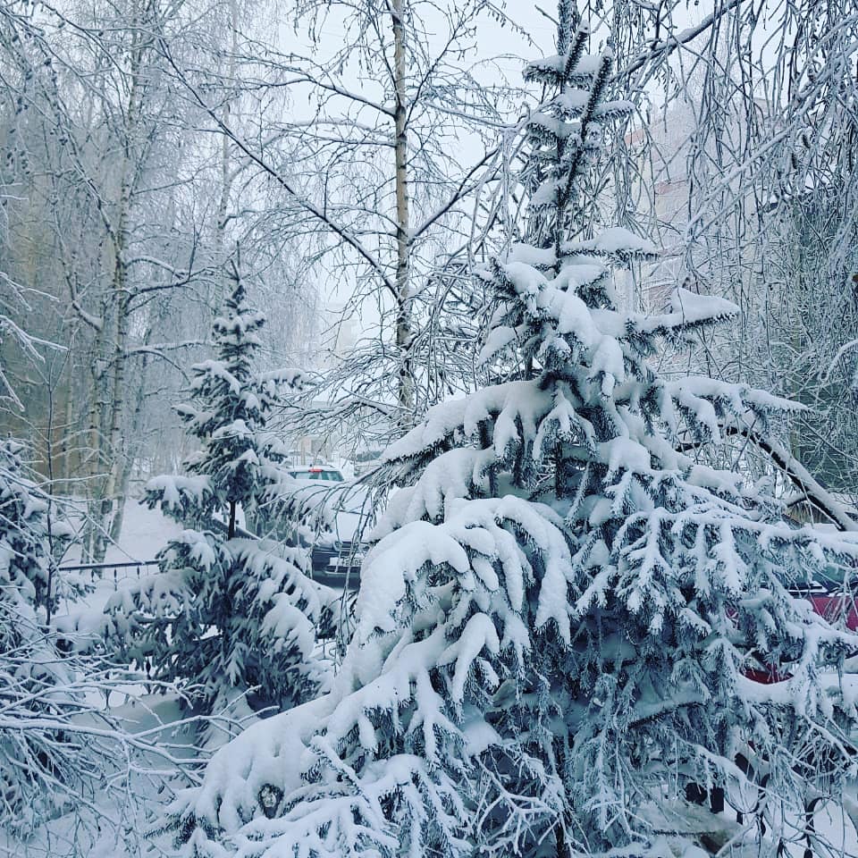 Шаблонные фразы для деловой переписки